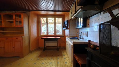 photo no. 16