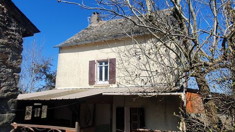 photo no. 20