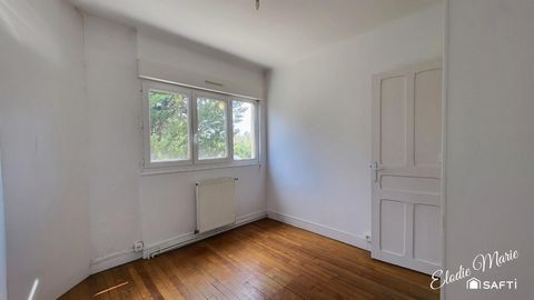 photo no. 8