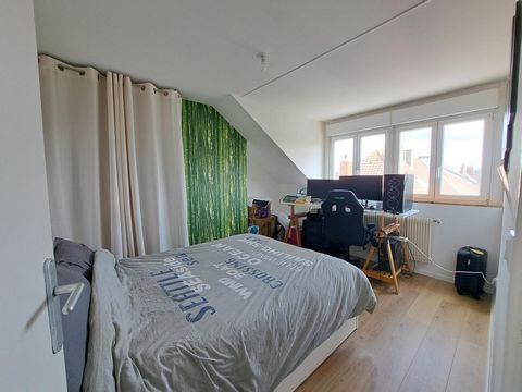 photo no. 9
