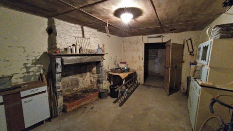 photo no. 9