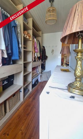 photo no. 11