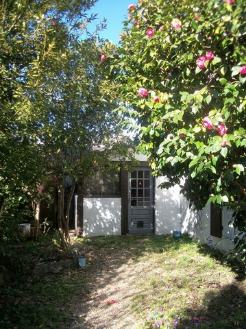 photo no. 23