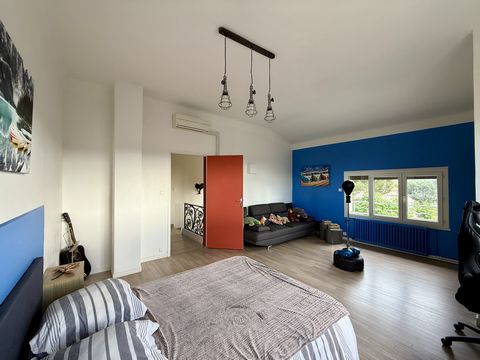 photo no. 19