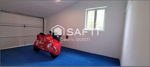 photo no. 10