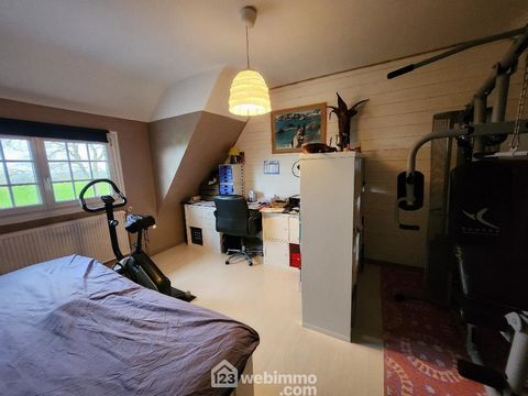 photo no. 11