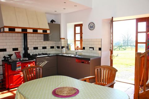 photo no. 11