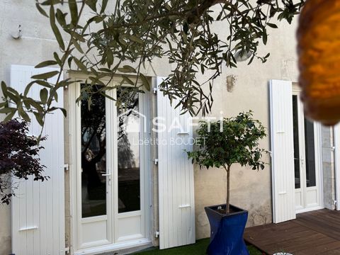 photo no. 12