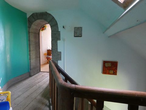 photo no. 11