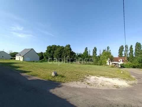photo no. 1