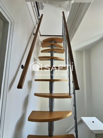 photo no. 14