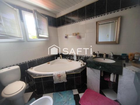 photo no. 10