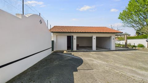 photo no. 17