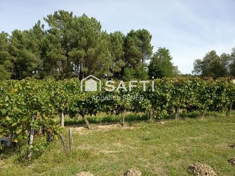 photo no. 11