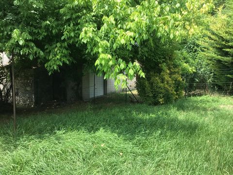 photo no. 17