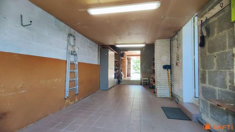 photo no. 11