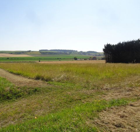 photo no. 2