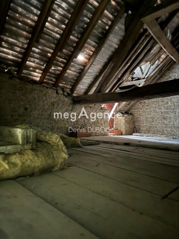 photo no. 6