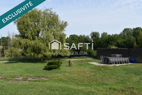 photo no. 10