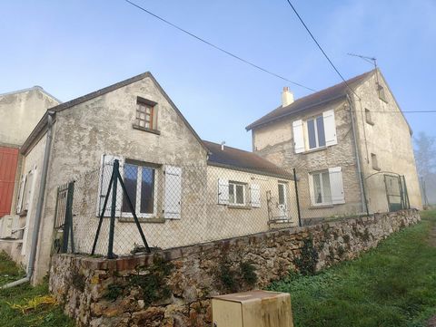 photo no. 11