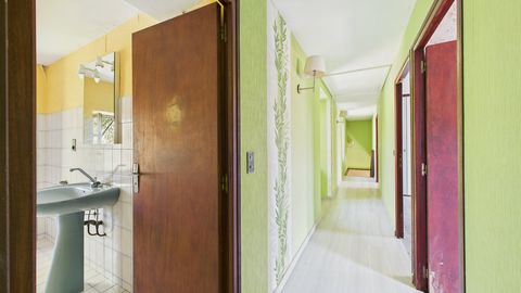 photo no. 11