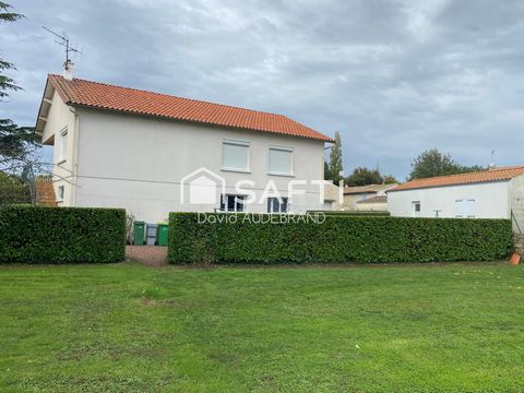 photo no. 6
