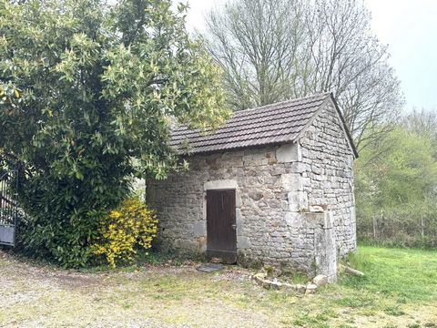 photo no. 12