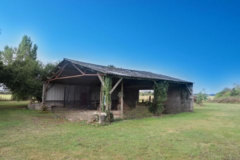 photo no. 16