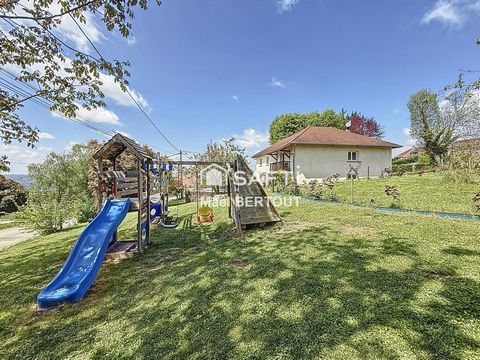 photo no. 13