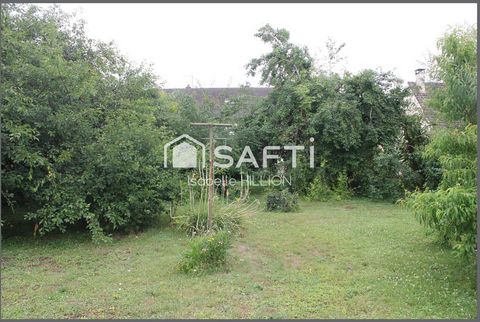 photo no. 11