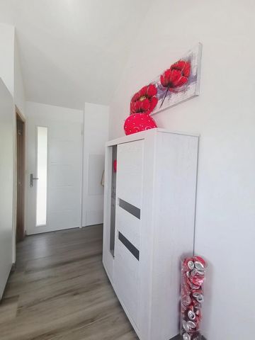photo no. 6