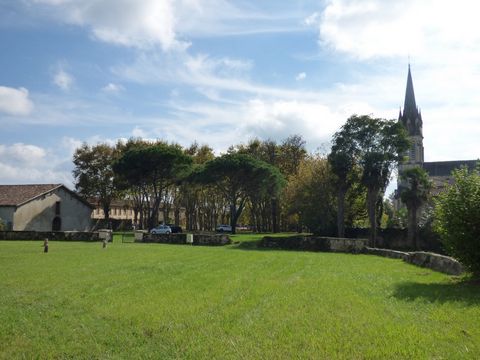 photo no. 19
