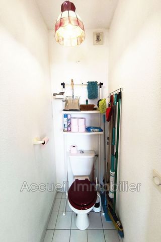 photo no. 5