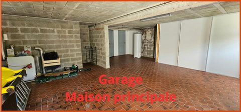 photo no. 11