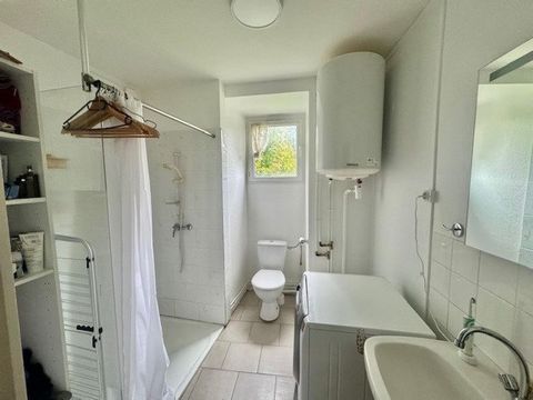 photo no. 7