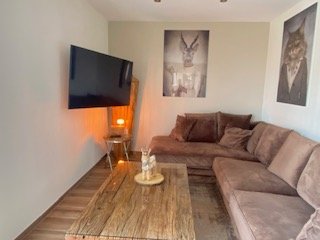 photo no. 8