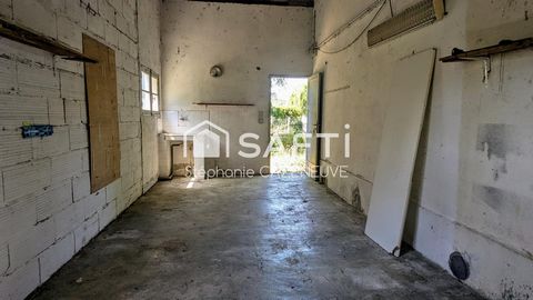photo no. 17