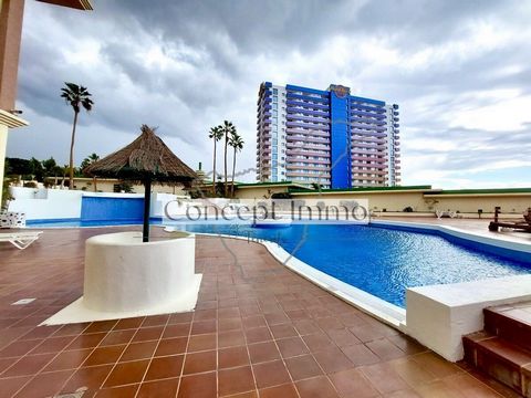 Modern, onlangs gerenoveerd en elegant ingericht appartement met groot balkon en prachtig uitzicht! Dit fantastische appartement, volledig gerenoveerd en met modern meubilair, is gelegen op een zeer centrale locatie in Playa Paraiso, in het prachtige...