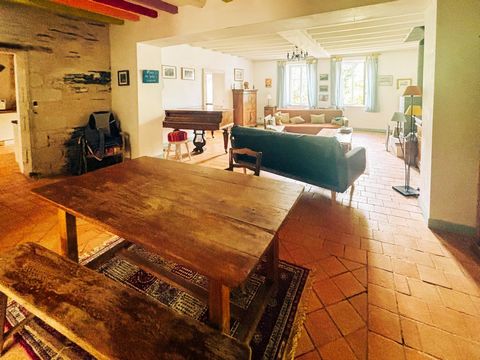 photo no. 10