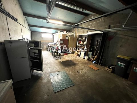 photo no. 6