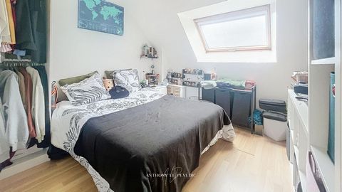 photo no. 13