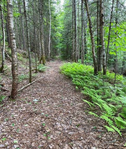 NOTARISIERTER ZUGANG ZUM ST-JOSEPH-SEE!! Zwei Minuten vom Herzen des Dorfes entfernt, auf dem Mt-Howard, herrliches Waldgebiet, das in der Wildnis erhalten geblieben ist, und mit urkundlichem Zugang zum Lac St-Joseph, nur wenige Gehminuten entfernt. ...