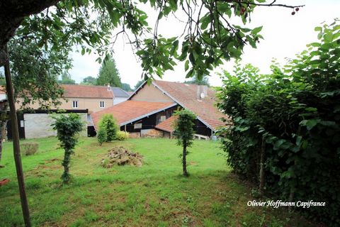 Maison à vendre 7 pièces à Bremenil (54)
