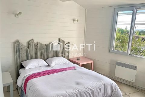 photo no. 6