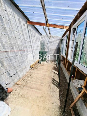 photo no. 18