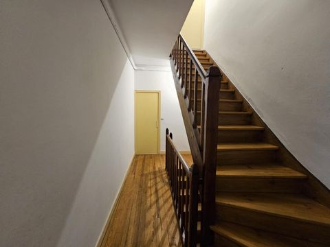 photo no. 7
