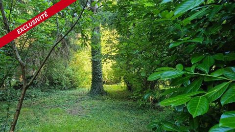 Messimy-sur-Saône, Terrain de loisirs de 1 000 m²