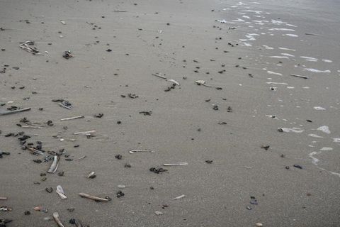 Breng je vakantie door in deze luxe villa in Julianadorp. De villa beschikt over 3 slaapkamers, een tuin en een sauna. Er kunnen 6 personen verblijven, wat ideaal is voor een gezin of een groep vrienden. De Kop van Noord-Holland staat vooral bekend o...