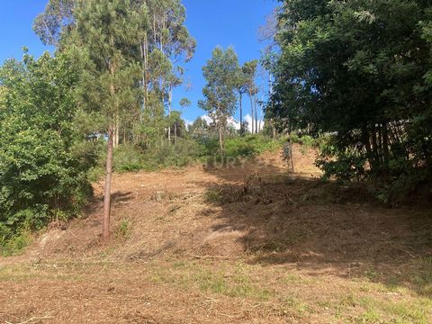 ¿Está buscando un terreno amplio y versátil donde pueda llevar a cabo el proyecto de sus sueños? ¡Le presentamos la oportunidad ideal! Características del Terreno: -Superficie Total: 8.000 m² - Ubicación: Freguesia de Oldrões, Penafiel Permisos de Co...