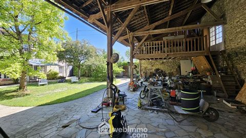 photo no. 19